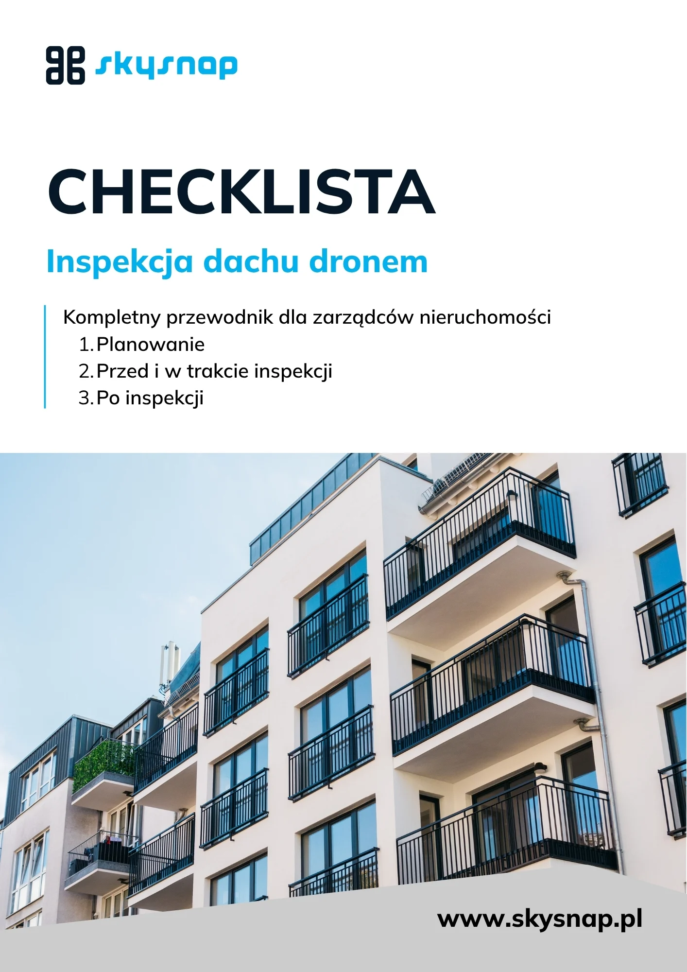 Raport inspekcje dacu